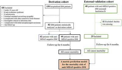 A Matrix Prediction Model for the 6-Month Mortality Risk in Patients With Anti-Melanoma Differentiation-Associated Protein-5-Positive Dermatomyositis